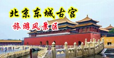 多人猛干勾引黑大屌草自己中国北京-东城古宫旅游风景区